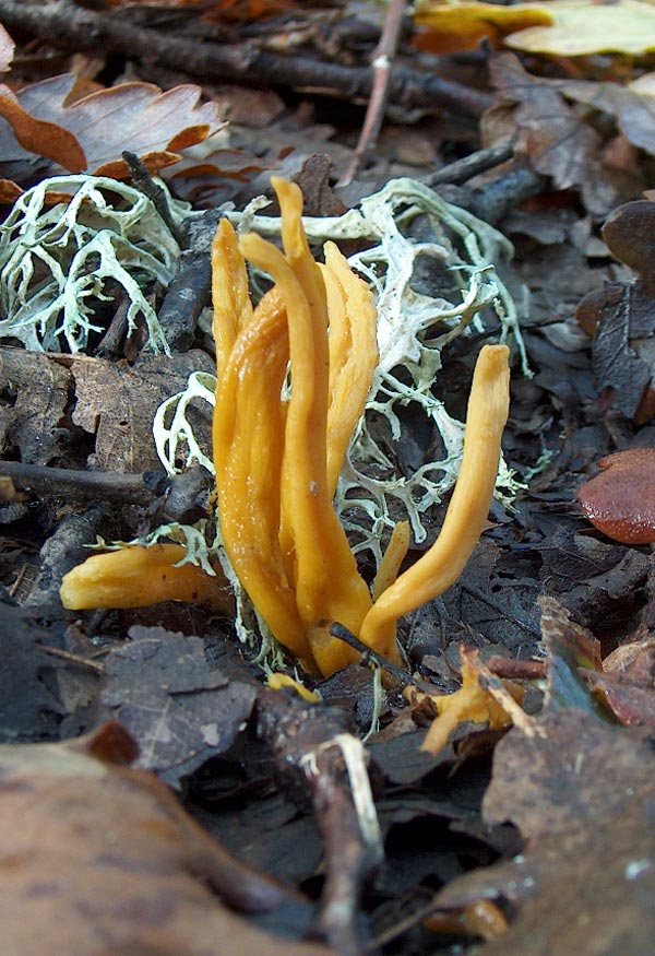 Nuova uscita,nuovi ritrovamenti.